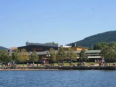L'alisier Apartment Gerardmer